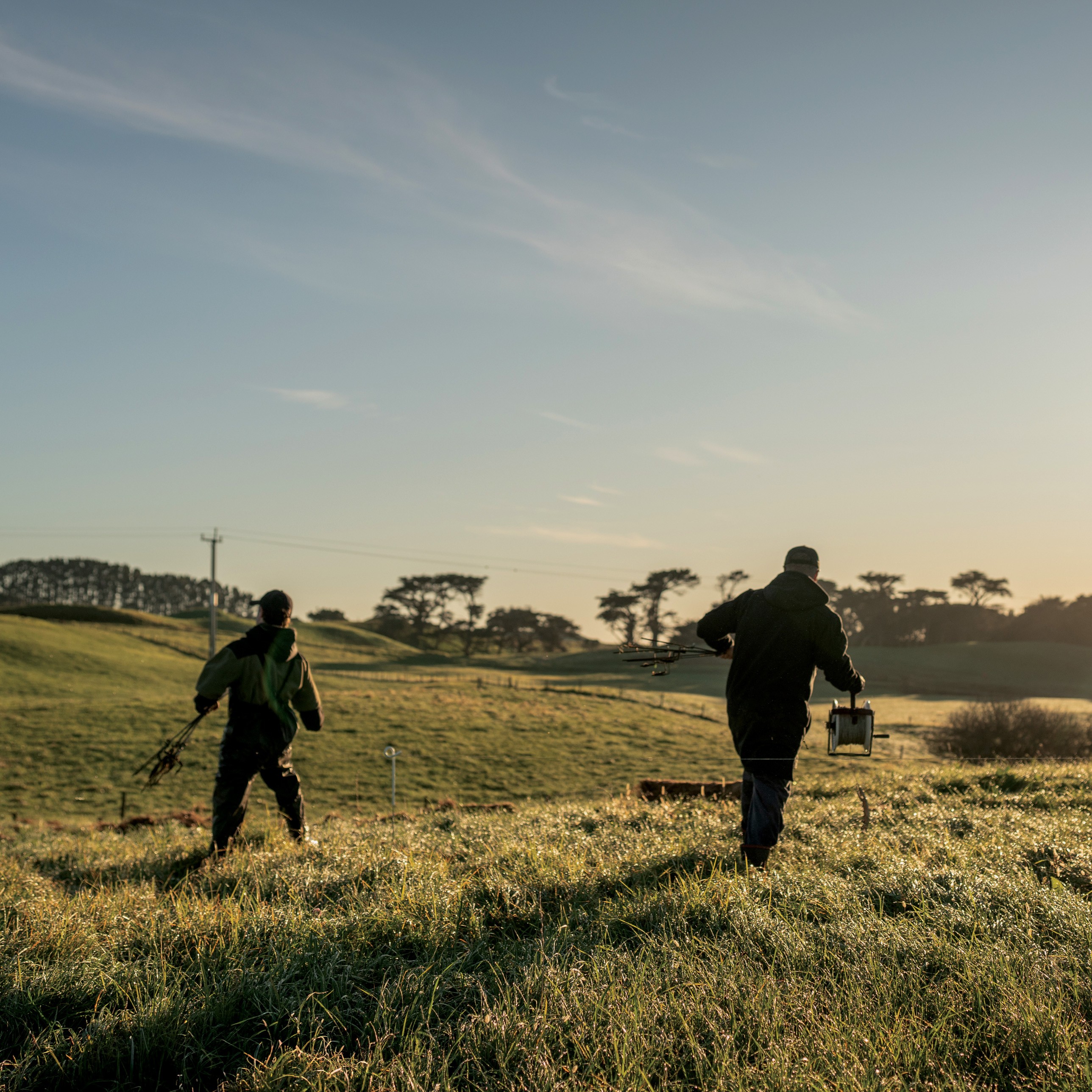 Kiwi farmers over-exposed but not in the way they think